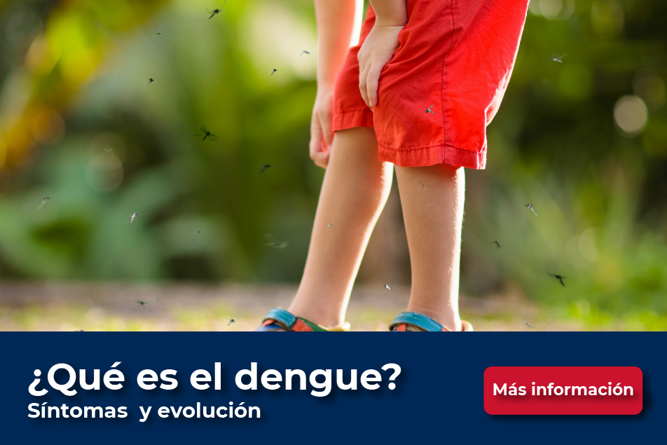 dengue