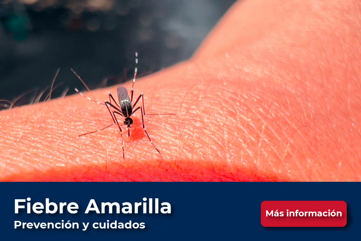 fiebre amarilla